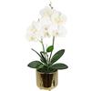 Flair Flower Fiore artificiale farfalla orchidea 42 cm con foglie e radici aeree in vaso in ceramica, fiore artificiale, orchidea artificiale Phalaenopsis con vaso, pianta artificiale, decorazione per matrimonio,
