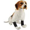 Nikou Tutore for Articolazione della Gamba Anteriore del Cane Guarisce Il Manicotto dell'involucro del Garretto, 1 Paio di Gambe Anteriori del Cane Ginocchiera Protettore Avvolgere Fasciatura