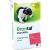 VETOQUINOL Drontal cane cucciolo antiparassitario sospensione orale 50ml