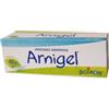 BOIRON SRL Arnigel 7% Gel In Tubo 45 g - Trattamento omeopatico antidolorifico e antinfiammatorio