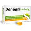 RECKITT BENCKISER H.(IT.) SpA BENAGOL Herbal 24 pastiglie gusto Miele