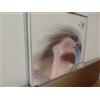 Vedi foto Live Con I New Trolls - Anna Oxa (2Cd FatBox) Cd Nuovo