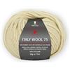 Unbekannt Pro Lana Italy Wool 75 circa 75 m col. 205 50 g