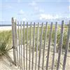 Pro-Art-Bilderpalette PRO-Art gla662a - Quadro da Parete su Vetro Sand Sedge II, 30 x 30 cm