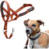 HALTI - Cavezza per impedire al cane di tirare al guinzaglio, regolabile, riflettente e leggera, con nasello imbottito, collare anti-tiro, per addestramento cani piccoli (Taglia 1, arancione bruciato)