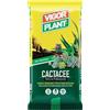 VIGORPLANT Terriccio per La Coltivazione delle Piante Grasse Confezione da 5 LT