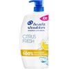 Head & Shoulders Citrus Fresh Shampoo Antiforfora Capelli Grassi 1000ml Flacone con Dosatore. Fino al 100% Protezione dalla Forfora. Clinicamente Testato. Uso Quotidiano. Freschezza agli Agrumi