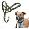 HALTI - Cavezza per impedire al cane di tirare al guinzaglio, regolabile, riflettente e leggera, con nasello imbottito, collare anti-tiro, per addestramento cani piccoli (Taglia 1, verde foresta)