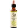 Schwabe Pharma Italia Honeysuckle Essenze Fiori Di Bach Rimedio Fitoterapico Gocce 20ml