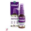 PROCTER & GAMBLE SRL VICKS ZZZQUIL SONNO SPRAY 30 ML