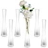 Glasseam Vaso di Vetro Alto E Sottile: Fatto A Mano 6pcs 24.5cm Moderno Singolo Stelo Stretto Chiaro Vasi Soggiorno Tavolo Centrotavola Sottile Cilindro Casa Decorazione per Matrimonio Ornamenti Erba