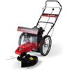 Italian Power Decespugliatore a ruote ItalianPower AP600ECO motore Rato 150cc 3.3Hp taglio 60cm