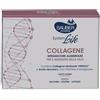 Sauber Pharma Sauber SystemLife Collagene Integratore di Collagene Antietà 10 Flaconcini