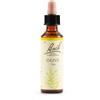 Schwabe Pharma Italia Olive Essenze Fiori Di Bach Rimedio Fitoterapico Gocce 20ml