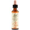 Schwabe Pharma Italia Mimulus Essenze Fiori Di Bach Rimedio Fitoterapico Gocce 20ml