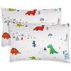 Vicloon Federa per Cuscini per Bambini, 2 Pezzi 40X60 cm Fodera per Cuscino, Federa Decorativa per Cuscino Federa Cuscino in 100% Cotone, Federa per Cuscino da Viaggio, Modello di Dinosauro
