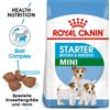 ROYAL CANIN Mini starter mother & babydog 1 kg
