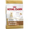 ROYAL CANIN Crocchette cucciolo Labrador Retriever Junior 12KG Royal Canin