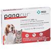 Msd Animal Health Srl Panacur 250mg Antielmintico 10 Compresse