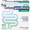 POOL PHARMA Srl TRIOCARBONE GONFIORE IBS 10 BUSTE DUOCAM DA 2 G + 1,5 G