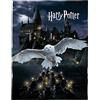 Tex idea Morbida coperta in pile a tema Harry Potter, 150 x 200 cm, con lo stemma di Grifondoro della scuola di Hogwarts, Gufo, colore nero
