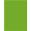 DJP Cartoncino A4 da 160 g/m², colore verde intenso (50 fogli)