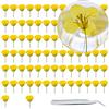 Cayway 80 Pz Fleurs Pressées Séchées, Fiori di Colza Pressati Gialli Florales Naturelles Feuille de Fleurs Pressées pour Bricolage Résine Bijoux Faisant