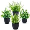 Laelfe 4 Pezzi Mini Piante Artificiali Verdi in Vaso Nero, Piantine Finte Decorative, Pianta Artificiale da Interno per Casa Ufficio Tavolo Stanza Bagno Decorazione Interno