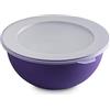 Omada Design Contenitore per Alimenti Rotondo con Coperchio, Antibatterica da 1,5 Lt, in plastica, Infrangibile, lavabile in Lavastoviglie, Linea Sanaliving