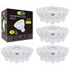 CLAR - GU5.3 LED 7W, Faretto LED 12V, Lampadine Faretto Attacco, LED MR16, Lampadina LED GU5.3, Lampada LED Dicroica, Luce Fredda 6000ºK (Pack 20)