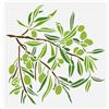 FINGERINSPIRE Stencil per pittura a forma di ramo di ulivo 30 x 30 cm, riutilizzabile, modello di disegno in plastica PET rami di albero, stencil a tema pianta per la decorazione domestica