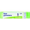 BOIRON Srl RUTA GRAVEOLENS 5CH GRANULI