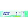 BOIRON Srl THYROIDEA (THYROIDINUM) 5CH GRANULI