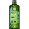 Yves Rocher Shampoo Anticaspa Trattante - Capelli con forfora - Shampoo senza solfati e siliconi con erba bio - Pelle capelluto purificata e priva di forfora - Made in France - 300ml
