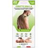 D.FENSTEC SRL Fit Therapy Cerotto Spalla 10 Pezzi