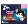 Purina Felix Le Ghiottonerie Junior Selezioni Deliziose in gelatina - 12 bustine da 85gr.