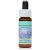Ladies tresses ess 7,4ml alsk - - 901241087