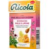 RICOLA AG RICOLA Echinacea Mie&Lim.50g