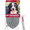 Advantix Spot on Cani antiparassitario Cane 4 tubetti 6,0ml, Elimina zecche, pulci, pidocchi e larve di pulce in casa. Protegge da zanzare, pappataci e rischio di leishmaniosi.