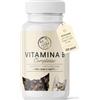 Annimally Integratori per cane con vitamine cane e vitamine gatto - 120 compresse integratore cane complesso vitamina B include B1,B2, B3, B5, B6, B9, B12 - integratori per cani anziani e gatti