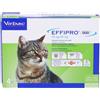 Effipro Duo Gatto 4 Pipette 1-6 Kg Antiparassitario per Gatti