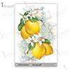Transfer Me Mini Fresh Lemons