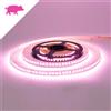 Striscia LED Professional per Banco Carni