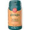 ERBA VITA GROUP SpA GINKGO 60CPS EBV