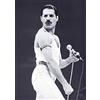 Close Up Poster Queen Freddie Mercury (84 cm x 59,5 cm)