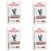 Royal Canin Veterinary Gastrointestinal | Confezione de 4 | 4 x 12 x 85 g | Cibo umido per gatti adulti | Pezzi fini in salsa | Per i disturbi dell'assorbimento intestinale