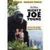 Walt Disney Studios Mighty Joe Young (DVD) Linda Purl Lawrence Pressman Geoffrey Blake Mika Boorem