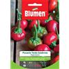 Blumen peperoncino piccante tondo calabrese