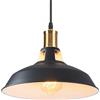 iDEGU Lampadario a Sospensione Industriale 27cm Lampada da Soffitto Vintage in Metallo E27 Lampadario Soffitto Retro Lampada a Sospensione per Sala da Pranzo Soggiorno Cameretta Caffè (Nero + Bianco)