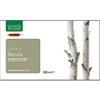 NATURA SERVICE Srl BETULLA LINFA BIO 20AB 15ML